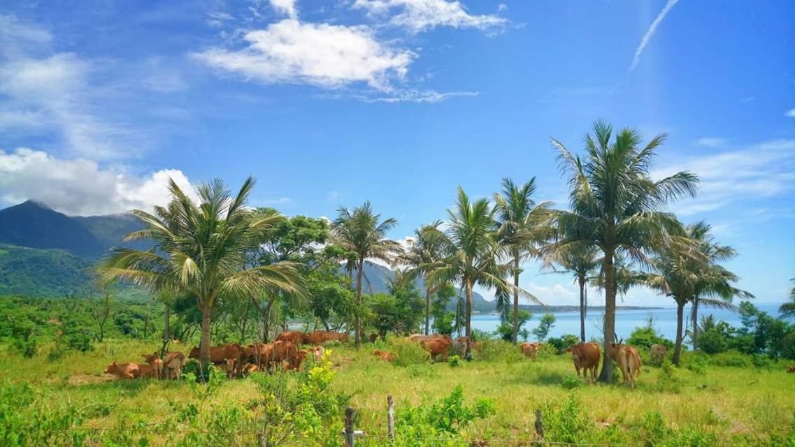Cong Sen Backpackers Hostel Taitung Экстерьер фото